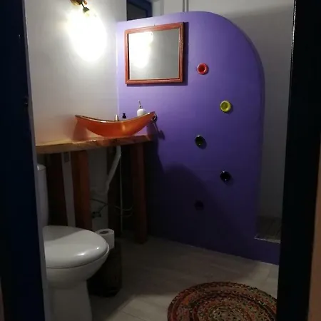 Lantgård Suvenir Din Dobrogea