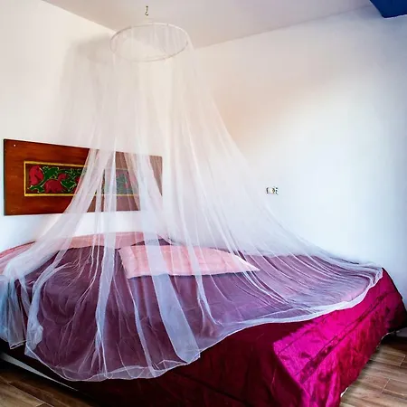 Farm stay Suvenir Din Dobrogea *