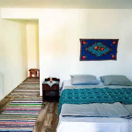 Suvenir Din Dobrogea Visina