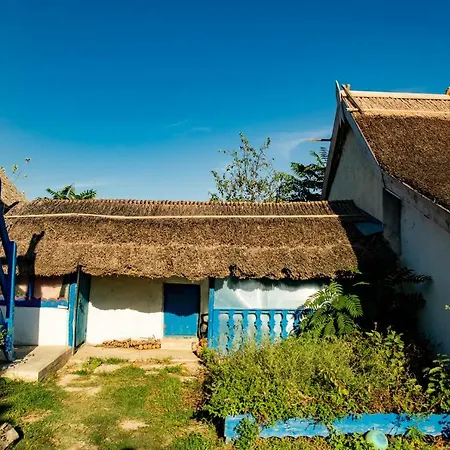 Suvenir Din Dobrogea Visina