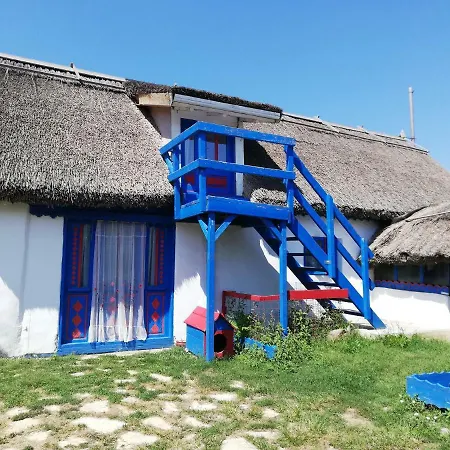 Suvenir Din Dobrogea Visina