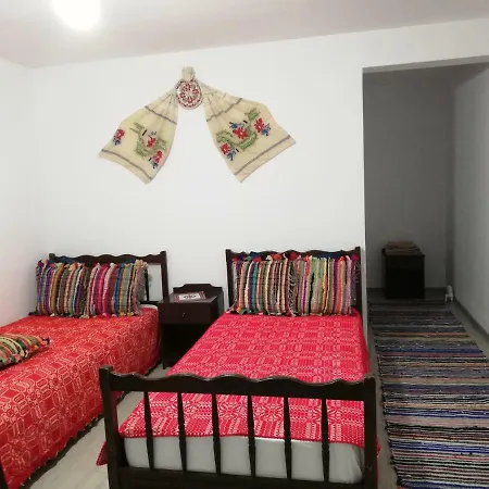 Suvenir Din Dobrogea Visina