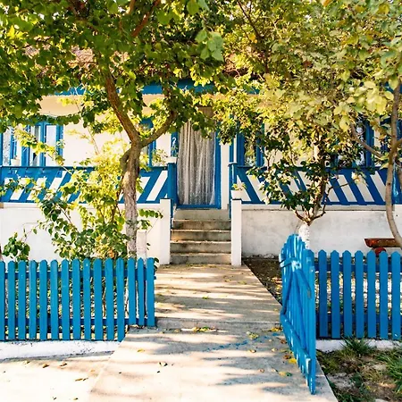Suvenir Din Dobrogea Farm stay *
